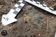 Skarb w Puszczy Knyszyńskiej. To odkrycie może zmienić historię Podlasia