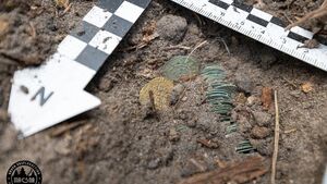 Skarb w Puszczy Knyszyńskiej. To odkrycie może zmienić historię Podlasia