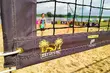Startuje Letnia Grand Prix. Pierwszy turniej już w sobotę