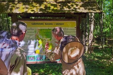 Grzędy w Biebrzańskim Parku Narodowym. Naturalne barcie i edukacja o dzikich pszczołach