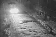 Migranci atakują patrole na granicy. Zatrzymano dwóch kurierów
