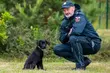 Mała Zora w służbie KAS. Labrador szykuje się do tropienia przemytników