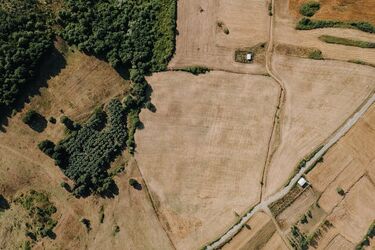 Miasto sprzedaje dwie działki. Zarobi na nich ponad 2,6 mln zł