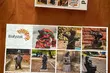 WidziMisie trafiły na puzzle. Wiemy, jak je zdobyć