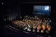 Opera i Filharmonia Podlaska szuka muzyka. Jakie są wymagania?