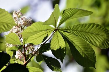 Profesjonalne kursy maturalne w Białymstoku - solidna wiedza zawsze pod ręką