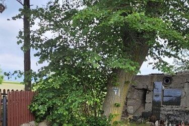 Krajówkami przez Podlasie. Odkrywaj niezwykłe miejsca, jadąc głównymi trasami