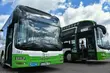 Największy przetarg od lat! 60 elektrycznych autobusów i 15 ładowarek