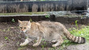 Akcent ZOO ma nowego mieszkańca. To wyjątkowy i rzadki gość