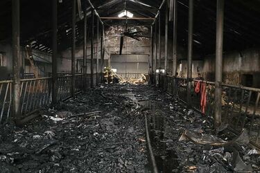 Pożar obory w gminie Zawady. Krowy spłonęły żywcem
