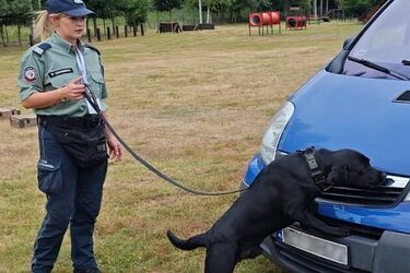 Zespół kynologiczny z podlaskiej KAS najlepszy w Polsce