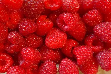 Sezon grozy dla producentów malin. Skup płaci o połowę mniej