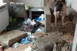 Hodowla grozy pod Białymstokiem. Prokuratura umarza sprawę