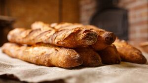 Milionowe inwestycje w SSSE. Dwie firmy z decyzją o wsparciu