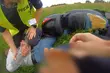 4 km pościgu przez pola. Motorowerzysta miał 2 promile [WIDEO]