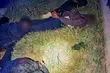 Pościg za kurierem z migrantami. Finał w rowie