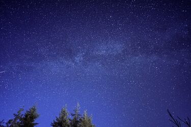 Spadające gwiazdy w Podlaskiem. Gdzie pojechać na Noc Perseidów?