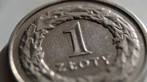 Ta branża choć popularna – tonie w długach. Jak jest w Podlaskiem?