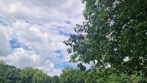 Weekendowa huśtawka w Białymstoku - słońce, deszcz i wiatr