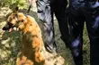 Nefa w akcji. Wykryła narkotyki na terenie białostockiego aresztu
