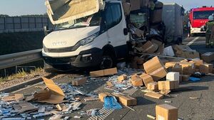 Wypadek na S61. Zginęło bydło. Do tego wysypały się papierosy