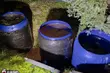 Produkowali na Podlasiu narkotyki. Jest akt oskarżenia przeciwko Meksykanom