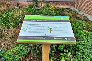 Nowe tablice w Narwiańskim Parku Narodowym. Mają inspirować do nauki w plenerze