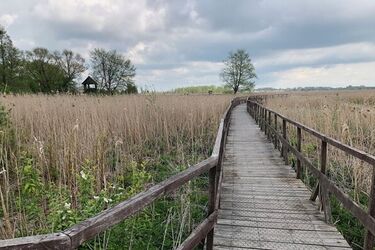 „Kładka wśród bagien” w Narwiańskim Parku Narodowym przechodzi metamorfozę
