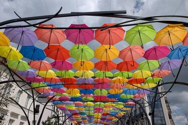 Weekend w Białymstoku. Sprawdź przegląd wydarzeń