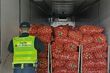 Cebula przykrywką dla kontrabandy. KAS przechwyciła 26 tys. paczek papierosów