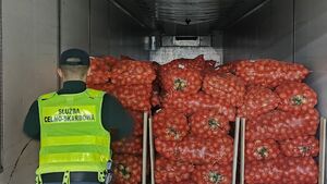Cebula przykrywką dla kontrabandy. KAS przechwyciła 26 tys. paczek papierosów