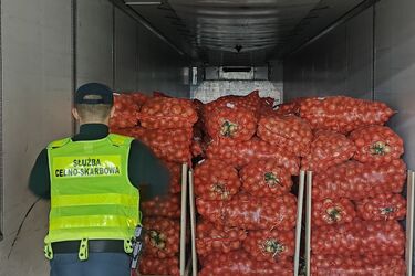 Cebula przykrywką dla kontrabandy. KAS przechwyciła 26 tys. paczek papierosów
