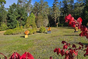 W Arboretum w Kopnej Górze stanęły drewniane rzeźby. Kto jest ich autorem?