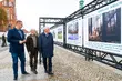 Wystawa w centrum miasta. Pokazuje, jak ważny jest las