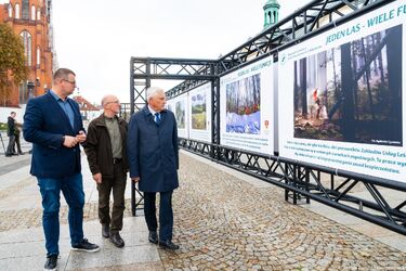 Wystawa w centrum miasta. Pokazuje, jak ważny jest las