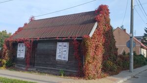 Historia Dworku Herbstów. W Białymstoku pojawi się nowa wystawa uliczna