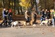 To wielkie święto adoptowanych psów i ich właścicieli. Wyjątkowy spacer