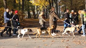 To wielkie święto adoptowanych psów i ich właścicieli. Wyjątkowy spacer