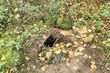 Straż Graniczna odkryła kolejny tunel pod polsko-białoruską granicą