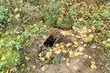 Straż Graniczna odkryła kolejny tunel pod polsko-białoruską granicą