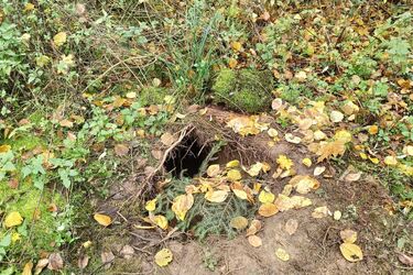 Straż Graniczna odkryła kolejny tunel pod polsko-białoruską granicą