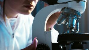 Nie jedz tego mięsa! W produktach Sokołów wykryto bakterie Escherichia coli