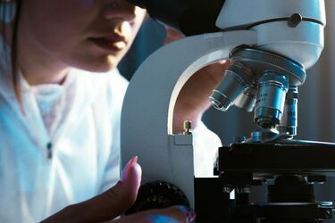 Nie jedz tego mięsa! W produktach Sokołów wykryto bakterie Escherichia coli