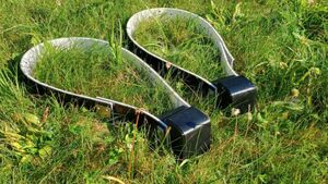 Białowieski Park Narodowy kupił obroże telemetryczne. Pomogą badać żubry
