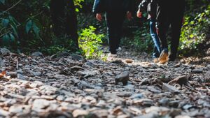 Pieszo ze Starosielc do Choroszczy. Rajd dla uczczenia niepodległości