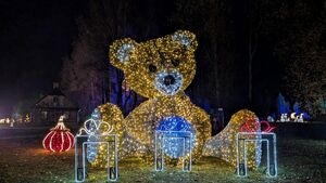 Piraci, magiczne rośliny i milion świateł. Dziś otwarcie Lumina Park