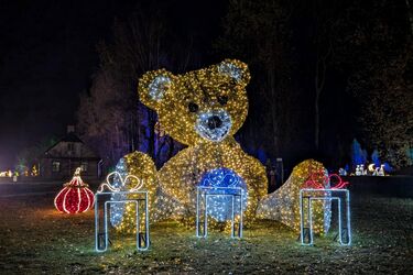 Piraci, magiczne rośliny i milion świateł. Dziś otwarcie Lumina Park