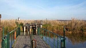 Więcej wody w Narwi. Kładka Waniewo-Śliwno ponownie dostępna dla turystów