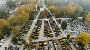 Dziury w ogrodzeniu i bramka prosto na grób. Problemy na Cmentarzu Miejskim