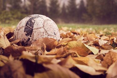 Ściąga kibica. Gra II i III liga